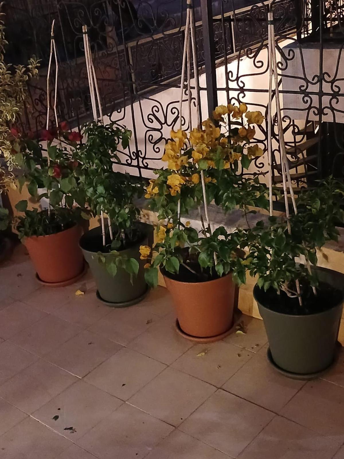 Riad Dantella Marrakesh Eksteriør bilde
